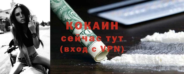 гашик Арсеньев