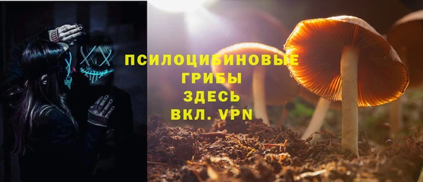 стафф Аркадак