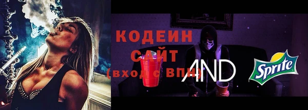 гашик Арсеньев