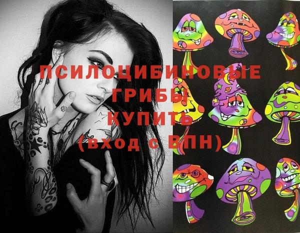 стафф Аркадак