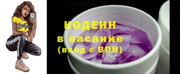 гашик Арсеньев