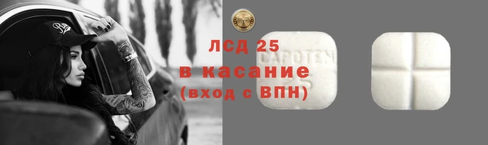 стафф Аркадак