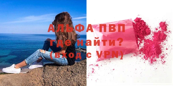 стафф Аркадак