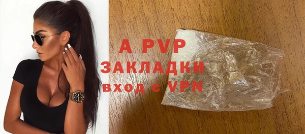 гашик Арсеньев